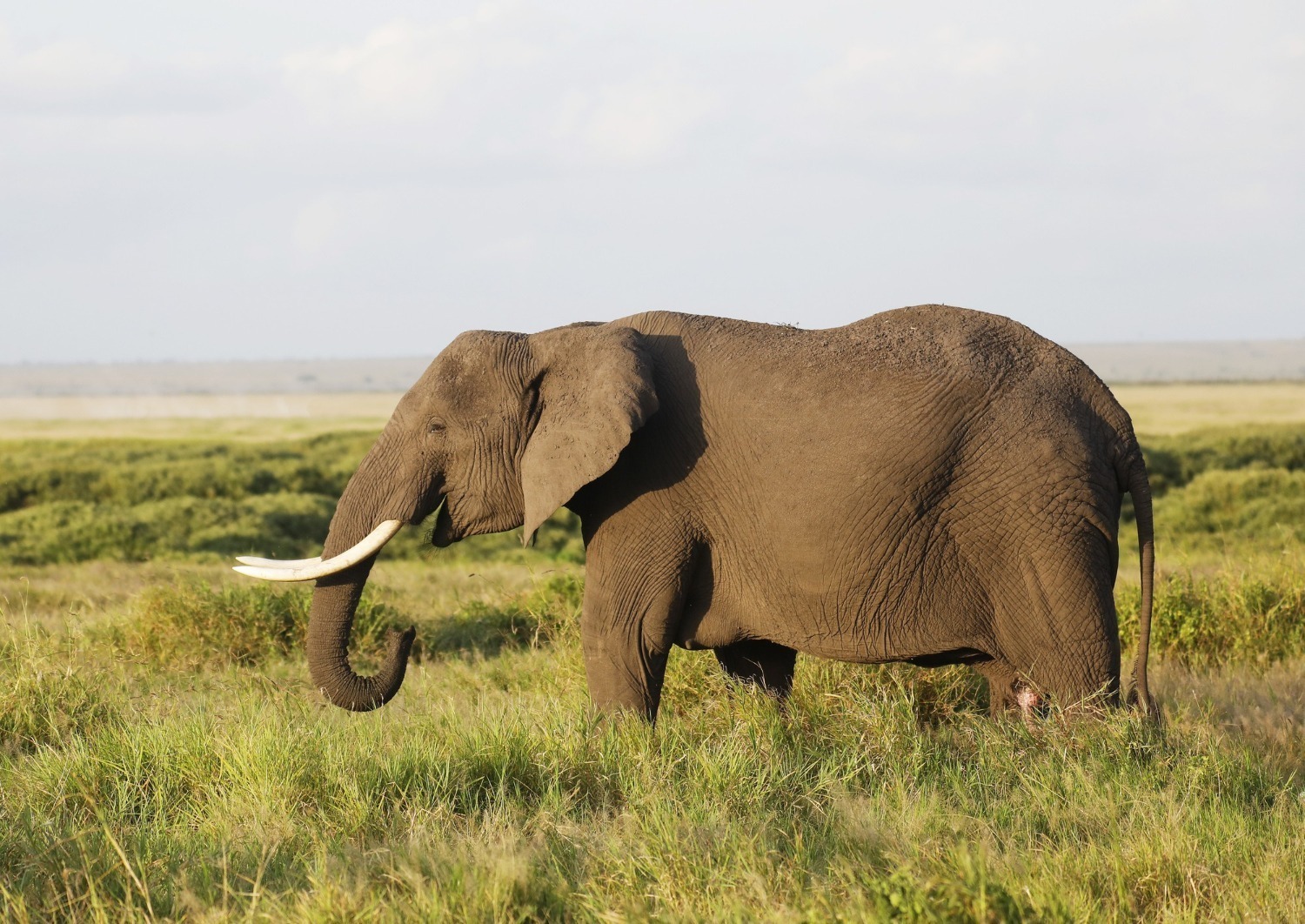 Budget Travel Kenya: Your Complete Summer 2026 Guide